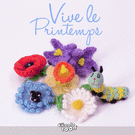 Fleurs colorées pour célébrer le printemps